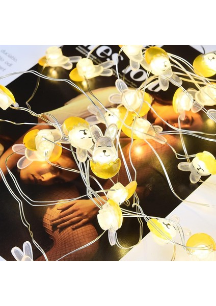 Paskalya Dize Işıkları, 10FT 30 LED Bahar Tavşan Yumurta Havuç Civciv Peri Işıkları, Paskalya Dekoratif Lamba Dize, Pille Çalışan, Ev Partisi Masa Duvar Dekoru Için (Kristal Rabblt (Yurt Dışından) modelleri