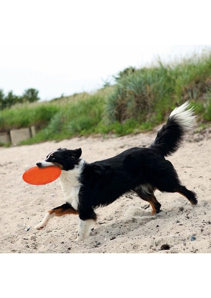 Köpek Yüzen Termoplastik Kauçuk Frizbi 22CM