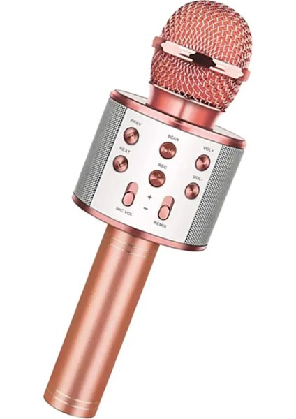 Bluetooth Karaoke Mikrofon (3791)