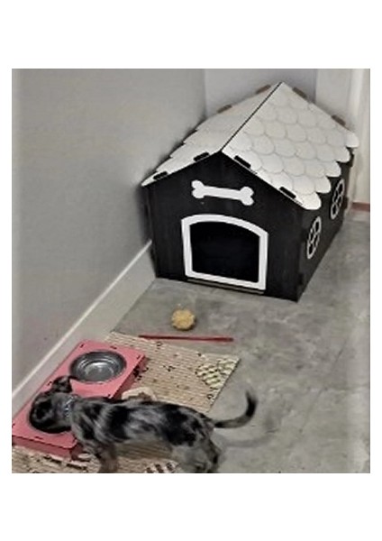 Süper Set Ahşap Dekoratif Köpek Evi-Kulübesi ,kedi Evi Minder ve Zincir Tasma (Rebab-Beyaz)