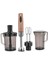 A445-05 Vertex Mega Blender Set Rosagold 1