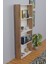 5 Raflı Kitaplık Arkalıklı Geniş Raf Kütüphane 170 cm Atlantik Çam - Beyaz 3