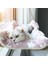 Gri Pet Vantuz Asma Kedi Hamak Yavru Kedi Tırmanma Çerçeve Sonbahar Kış Pet Yatak Kedi Hamak Çıkarılabilir Yıkanabilir Kedi Yuvası (Yurt Dışından) 3