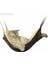 Nokta 35X35 cm 2023 Pamuk Kedi Hamak Yatak Çift Asılı Hamak Evcil Hayvan Yatakları Asılı Gine Yatak Hamster Fare Sincap Kedi Ürünleri Evcil Hayvanlar Için (Yurt Dışından) 3