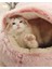 Uzun Peluş Kahve 50 cm Kış 2 In 1 Kedi Yatak Yuvarlak Sıcak Pet Yatak Evi Uzun Peluş Köpek Yatağı Sıcak Uyku Tulumu Kanepe Yastık Yuva Küçük Köpekler Kediler Yavru Kedi (Yurt Dışından) 5