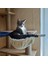 Açık Sarı Yalnızca Tek Beden [mpk Store] Kedi Yuvası, Kedi Yatağı, Kedi Ağacı Hamak, Basketbol Ağı Kedi Uyuması, 3 Renk Mevcuttur (Yurt Dışından) 4