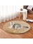 Gri Köpek Isıtma Peluş Ped USB Elektrikli Mat Sabit Sıcaklık Pet Yatak Battaniyesi Köpek Isıtıcı Taşınabilir Kedi Kış Uyku Roud Yastık (Yurt Dışından) 3