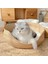 Yatak 38X38 cm Hoopet Dört Mevsim Pet Yatak Köpek Kulübesi Kedi Yavrusu Köpek Yatakları Kanepe El Yapımı Bambu Dokuma Kedi Rahat Yuva Pet Aksesuarları (Yurt Dışından) 4