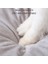 Gri S 35 cm Kış Kedi Yatağı Kapalı Sıcak Pet Yatak Küçük Köpekler Için Çıkarılabilir Yastık ile Yavru Mağara Asılı Peluş Top ile Yavru Sepeti (Yurt Dışından) 4