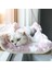 Pembe Battaniye Asılı Kedi Yatak Pet Kediler Hamak Hava Pet Yatak Evi Yavru Tırmanma Çerçeve Güneşli Pencere Koltuk Yuva Rulman 20 kg Kedi Aksesuarları (Yurt Dışından) 4