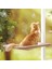 Haki 55X35 cm Rulman 20 kg Kedi Asılı Yataklar Evcil Hayvan Hamağı Yatak Kedi Güneşli Pencere Koltuğu Montajı Kediler Için Kitty Rahat Kedi Pet Yatak Rafı Koltuk Yatakları (Yurt Dışından) 2