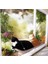 Haki 55X35 cm Rulman 20 kg Kedi Asılı Yataklar Evcil Hayvan Hamağı Yatak Kedi Güneşli Pencere Koltuğu Montajı Kediler Için Kitty Rahat Kedi Pet Yatak Rafı Koltuk Yatakları (Yurt Dışından) 4