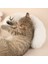 Beyaz Kişiselleştirilmiş Kedi Köpek Uyku Pet Özel Moda U Şekilli Köpek Yastık Boyun Koruyucu Derin Uyku Yavru Kedi Kafalık Almohada Gato (Yurt Dışından) 1