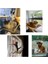 Yeşil ve Battaniye Kedi Hamak Pet Asılı Uyku Yatakları Kedi Dinlenme Koltuk Levrek Pencere Hamak Montaj Pet Rahat Kedi Pet Yatak Rulman 20 kg (Yurt Dışından) 3