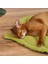 C-38X28CM Yaprak Şekli Yumuşak Köpek Yatağı Mat Yumuşak Sandık Pedi, Büyük Orta Küçük Köpekler ve Kediler Için Makinede Yıkanabilir Yatak Köpek Kulübesi Pedi (Yurt Dışından) 4