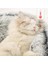 Gri 40X40CM Yuvarlak Kedi Yatağı Uzun Peluş Kedi Yastığı Sıcak Kedi Evi 2 In 1 Kedi Sepeti Yumuşak Kedi Uyku Tulumu Pet Köpek Yatağı Küçük Köpekler Için Kedi Yuvası (Yurt Dışından) 4