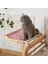 Siyah Izgara Asılı Pet Kedi Yatak Pencere Hamak Kanepe Ev Mobilyaları Yavru Kedi Kapalı Yıkanabilir Çıkarılabilir Koltuk Ahşap Yatak Levrek Rafları (Yurt Dışından) 5