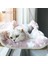 I Kedi Hamak Pet Yatak Pencere Askısı Hamak Ayrılabilir Yıkanabilir Emme Raf Yatak Koltuk Kedi Uyuyan Kedi Evi Kedi Aksesuarları (Yurt Dışından) 2