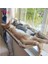 Haki Kediler Asılı Yataklar Hamak Kediler Için Rulman 20 kg Kedi Güneşli Pencere Koltuğu Dağı Pet Kedi Hamak Rahat Kedi Evcil Hayvan Yatakları Cama Gato (Yurt Dışından) 4