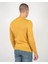 Sarımelanj Erkek Bisiklet Yaka Triko Slim Fit Pamuklu Kazak Ncs Jeans 3002 5