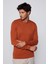 Slim Fit Bisiklet Yaka Petek Desenli Tarçın Erkek Kazak 2