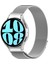 Galaxy Watch 6 Classic 43 / 47 mm Tam Uyumlu Mıknatıslı Hasır Metal Örgü Kordon Kayış Orijinal Pim 3