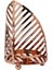 Palmiye Bronz Mumluk Küçük AK.JE0102 1