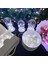 24 Paket Peri Işıkları Pille Çalışan Dize Işıklar, 3.3ft Simli Bakır Tel Üzerinde 10 Led. Çiçekler Hediye Kutusu Düğün Partisi Noel Dekorasyonu Için (24 Paket, Soğuk Beyaz) (Yurt Dışından) 2