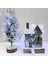 24 Paket Peri Işıkları Pille Çalışan Dize Işıklar, 3.3ft Simli Bakır Tel Üzerinde 10 Led. Çiçekler Hediye Kutusu Düğün Partisi Noel Dekorasyonu Için (24 Paket, Soğuk Beyaz) (Yurt Dışından) 4