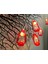 Gazyağı Fener Dize Işıklar, LED Dize Peri Işık Su Geçirmez Pille Çalışan Lamba Cadılar Bayramı Noel Tatil Partisi Için Kapalı Açık Dekor (Kırmızı, 3 M / 20 Led) (Yurt Dışından) 3