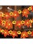 Cadılar Bayramı Işıkları, 10 Ft 20 Led'ler Kabak Akçaağaç Yaprağı Cadılar Bayramı Peri Işıkları Şömine Bahçesi Için Dekoratif Işık Dize Süslemeleri, Pille Çalışan Cadılar Bayramı D (Yurt Dışından) 1