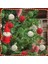 20 LED 8 Ft Noel Dizili Işıklar Noel Işığı Rattan Toplar Süslemeleri Noel Hasır Toplar Dizili Işıklar Pille Çalışan Kırmızı Beyaz Yeşil Noel Süslemeleri Tatil Noel (Yurt Dışından) 3
