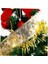 2 Adet Dize Aydınlık Şerit Kolye Noel Ağacı Için LED Işıklar Pille Çalışan Noel Peri Işığı Renkli Şerit Glow Flamalar Noel Şerit Işığı Noel Beyaz Şerit Işığı Pvc (Yurt Dışından) 4