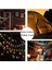 Gazyağı Fener Dize Işıklar, LED Dize Peri Işık Su Geçirmez Pille Çalışan Lamba Cadılar Bayramı Noel Tatil Partisi Için Kapalı Açık Dekor (Siyah, 3m / 20 Led) (Yurt Dışından) 2