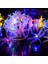 Kelebek Dize Işıklar, 3m 20LED Kelebek Iç Mekan Dize Işıklar Pille Çalışan (Yusufçuk, Çok Renkli) (Yurt Dışından) 2