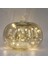 Zamanlayıcılı Cıva Cam Balkabağı Işığı, Içinde 10 Peri Işığı, Pille Çalışan LED Balkabağı Işığı, Cadılar Bayramı Sonbahar Dekorasyonu Için Ideal, Şükran Günü Rustik Dekoru, Noel De (Yurt Dışından) 2