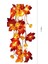 2 Paket Sonbahar Balkabağı Çelenk Işıkları Sonbahar Süslemeleri, Gerçekçi Akçaağaç Yaprağı Dize Işık, 9,8 Ft 20/30LED Sonbahar Işıkları Pille Çalışan Iç Mekan Ev Dış Mekan Şükran G (Yurt Dışından) 3
