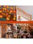 2 Paket Sonbahar Balkabağı Çelenk Işıkları Sonbahar Süslemeleri, Gerçekçi Akçaağaç Yaprağı Dize Işık, 9,8 Ft 20/30LED Sonbahar Işıkları Pille Çalışan Iç Mekan Ev Dış Mekan Şükran G (Yurt Dışından) 4
