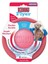 Puppy Yavru Köpek Için Frizbi 5