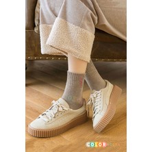 Color Socks 5 Çift Termal Kadın Havlu Kışlık Çorap (Isı Emici)