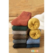 Color Socks 5 Çift Termal Kadın Havlu Kışlık Çorap (Isı Emici)