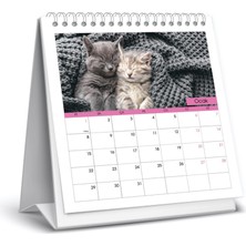 Keskin Color 2024 Kare Masa Takvimi Kediler