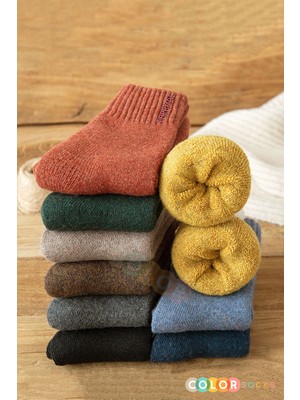 Color Socks 5 Çift Termal Kadın Havlu Kışlık Çorap (Isı Emici)