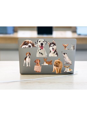 Etiketçi Paşa Kedi ve Köpek Temalı Laptop Notebook Tablet Sticker