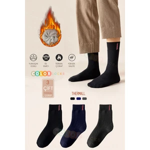 Color Socks 3 Çift Termal Erkek Kışlık Çorap Seti (Yüksek Isı)
