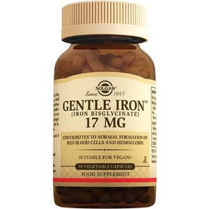 Gentle Iron 17 Mg 90 Kapsul (Gentil )