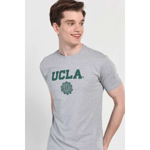 GAYLEY Gri Bisiklet Yaka Erkek T-shirt