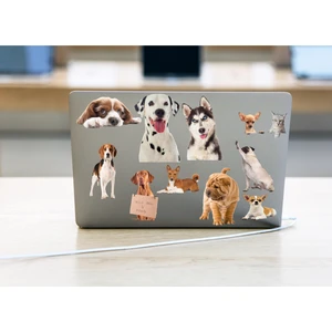 Etiketçi Paşa Kedi ve Köpek Temalı Laptop Notebook Tablet Sticker