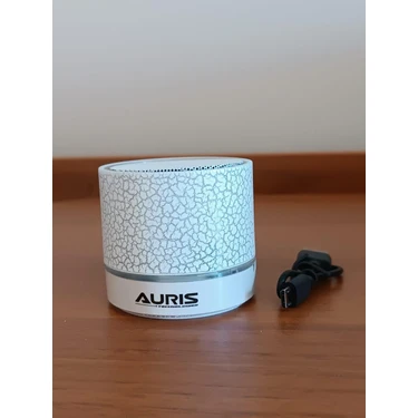 Auris Küçük Taşınabilir Bluetooth Hoparlörler, Kablosuz Bluetooth Hoparlörler,5 Saat Çalışma