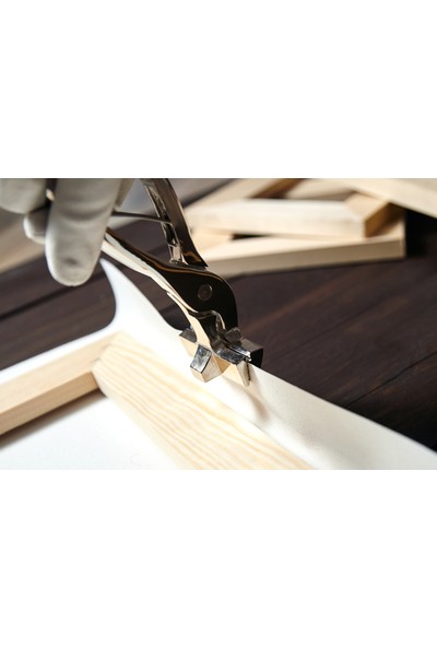 AR AJANS KANVAS TABLO Dev Boyut Tasarım Çiçek Kanvas Tablo DR041